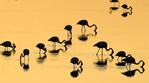 1755717 (a): :1950x1080